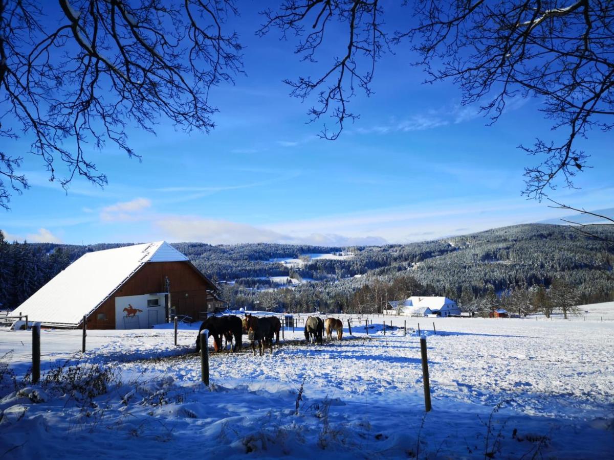 Apartmán Spa Šumava Zdíkov Exterior foto